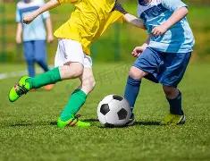 中国女排新,帅悬念揭晓,赵勇领跑呼,亚博体育,亚博体育官网,亚博体育app,亚博体育下载