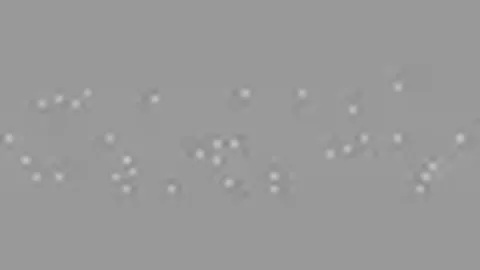 巡护员惊喜邂逅国宝熊猫，一日两见：今日营业格外繁忙！