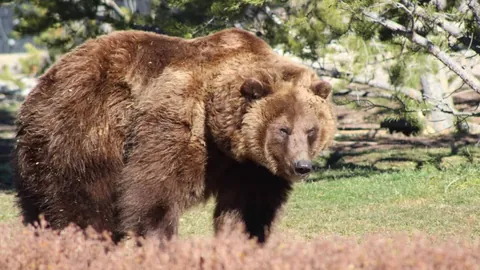 【足球】周六003亚洲杯U20赛事前瞻：吉尔吉斯斯坦U20对决中国U20
